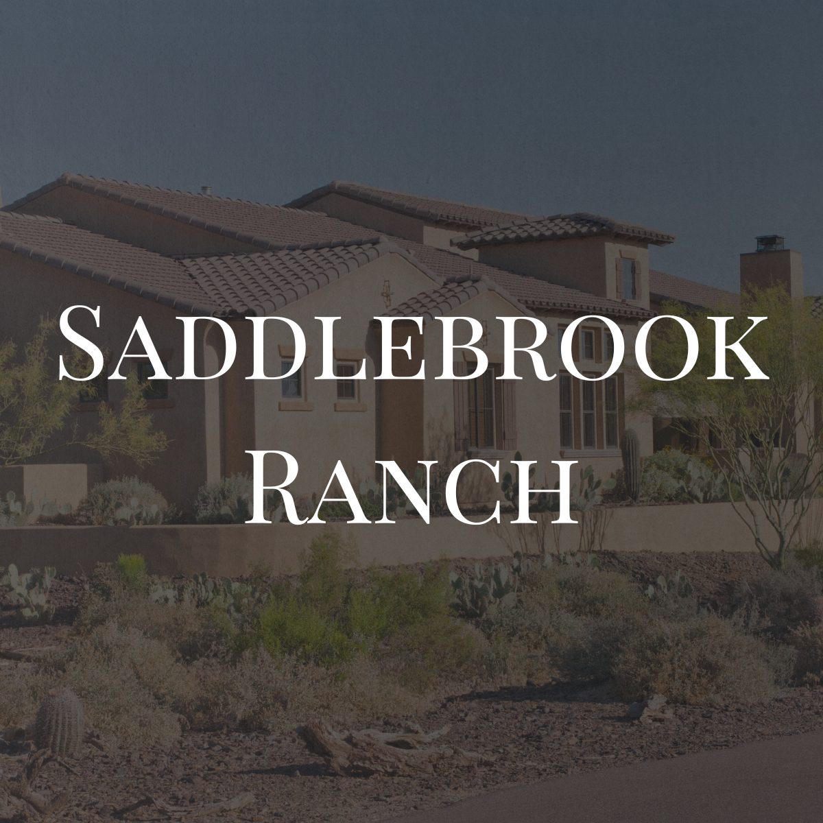 Saddlebrook Ranch