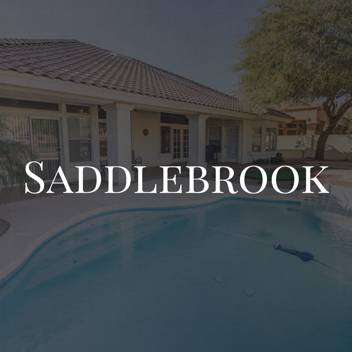 Saddlebrook